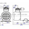 kích thước bơm gast piston 1l