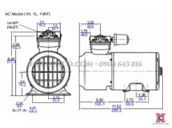 kích thước bơm gast piston 1l