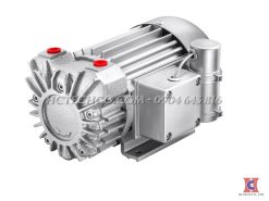 bơm hút chân không khô DV-3V