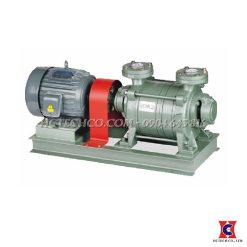 Bơm chân không vòng nước HanChang HWVP-2-150