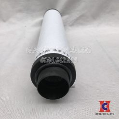 Lọc tách dầu chân không leybold 971431120