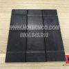 Cánh vanes chân không Wonchang 43022A
