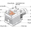Các bộ phận cấu tạo của bơm chân không vòng dầu WSS 120B