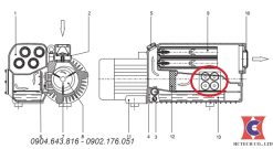 Vị trí van một chiều cổng xả