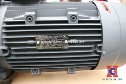 Tem động cơ của máy bơm chân không Souz SV-300