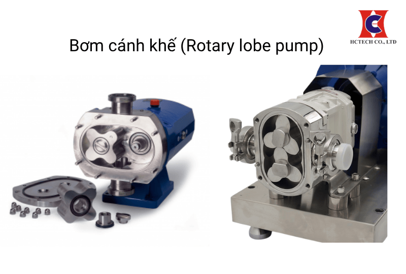 Bơm cánh khế là gì? Ứng dụng, cấu tạo và nguyên lý hoạt động
