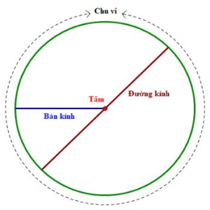 Đường kính là gì